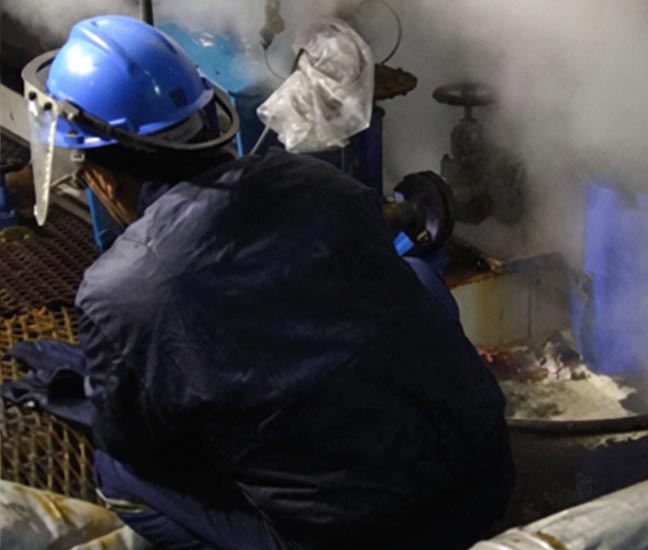 On-Line Leak Sealing